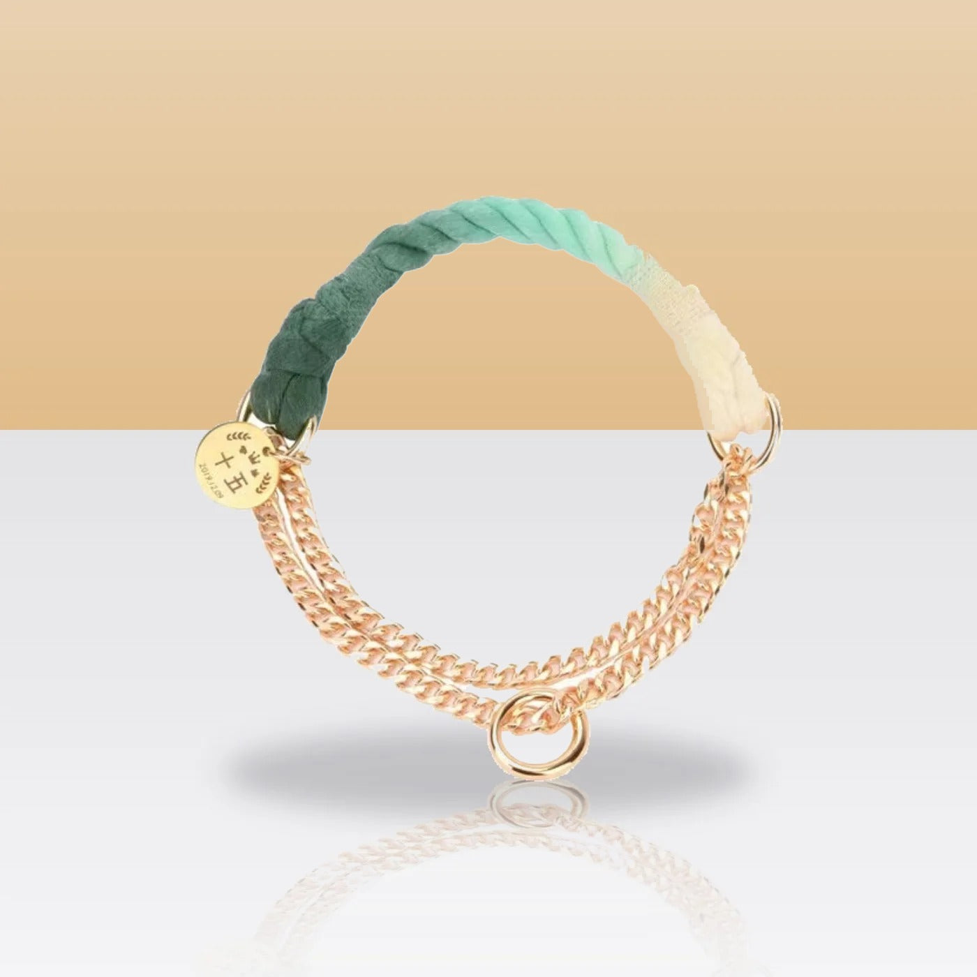 Collier en corde dégradé vert pour chien