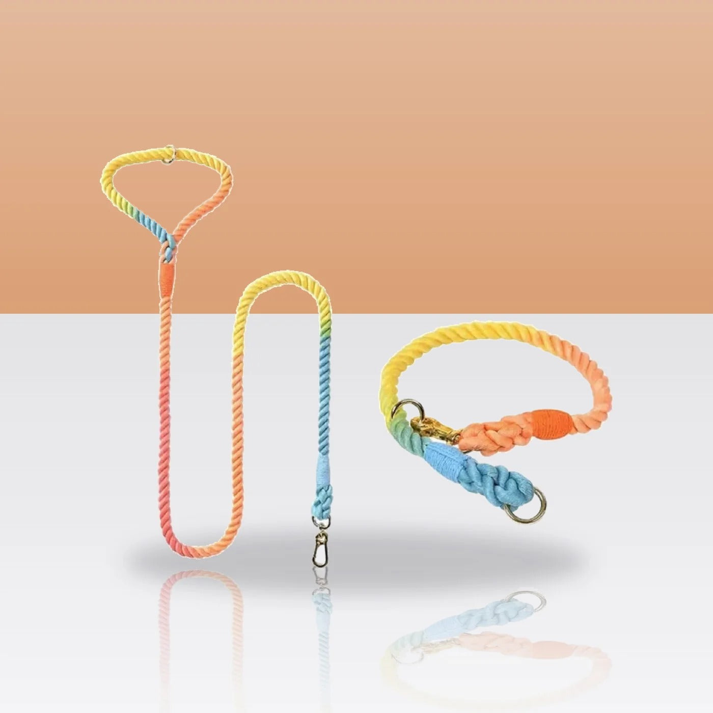 Ensemble collier et laisse en corde arc-en-ciel pour chien