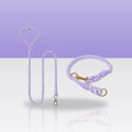 Ensemble collier et laisse en corde violet pour chien