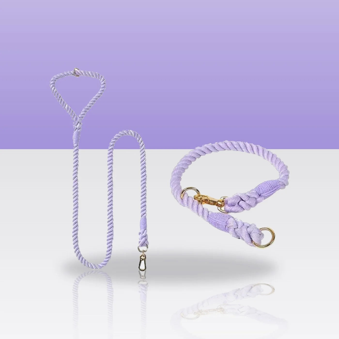 Ensemble collier et laisse en corde violet pour chien