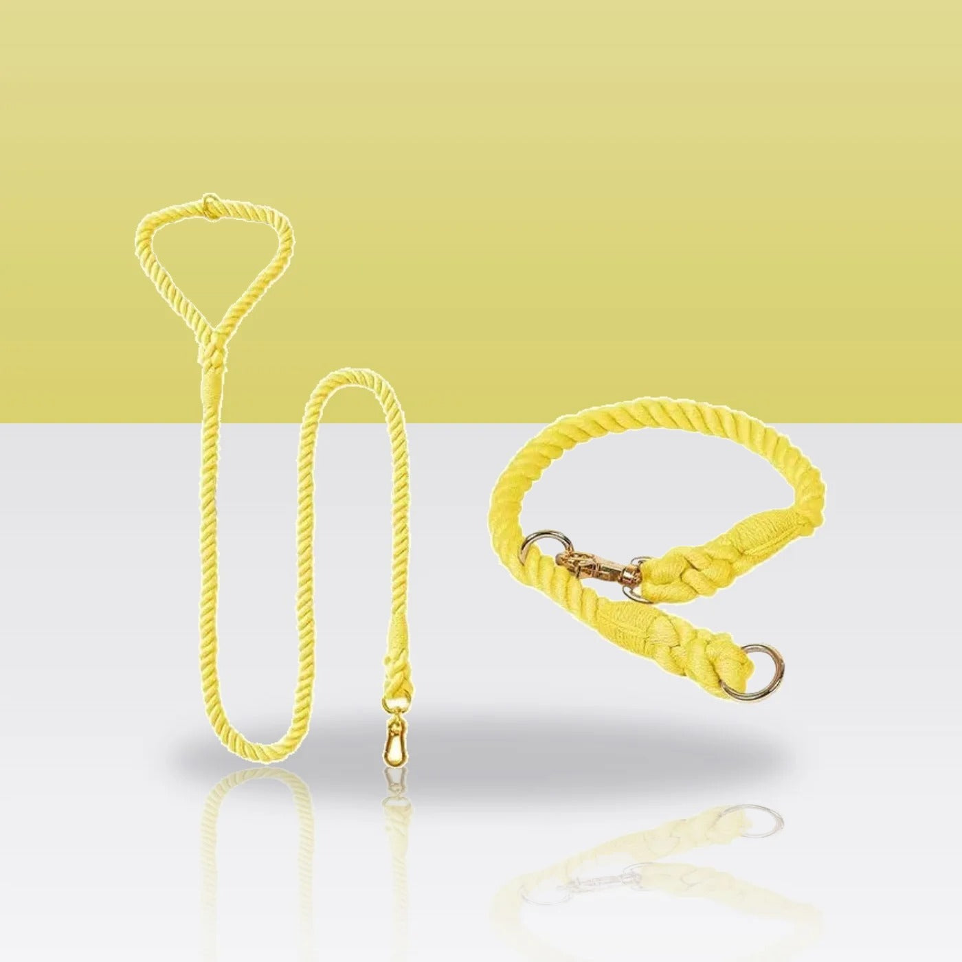 Ensemble collier et laisse en corde jaune citron pour chien