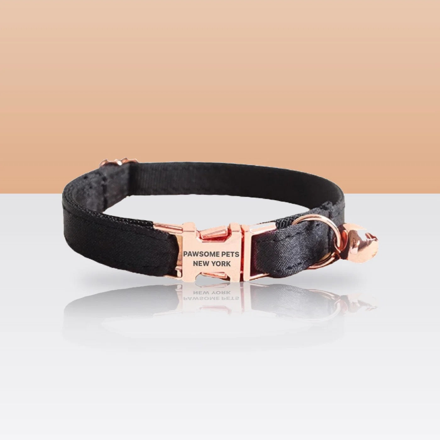 Collier noir terre pour petit chien et chat