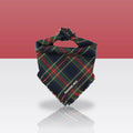 Bandana Bryn pour chien