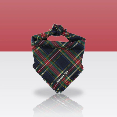 Bandana Bryn pour chien