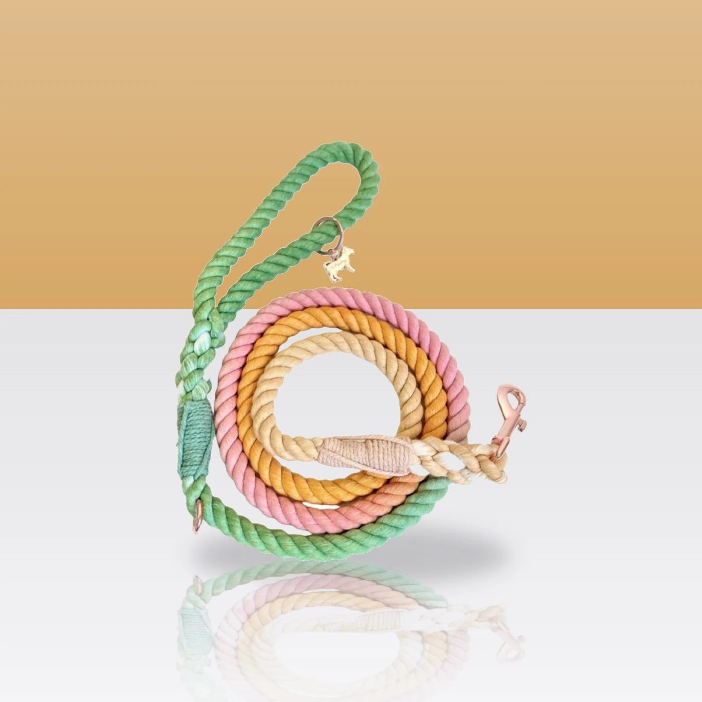 Laisse en corde Bridgette pour chien, mousqueton doré