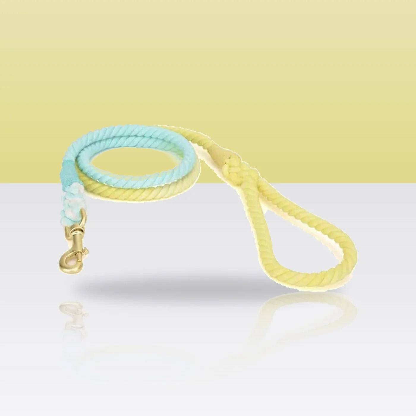 Laisse en corde Soda pour chien, mousqueton doré