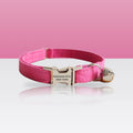 Collier rose poudré pour petit chien et chat
