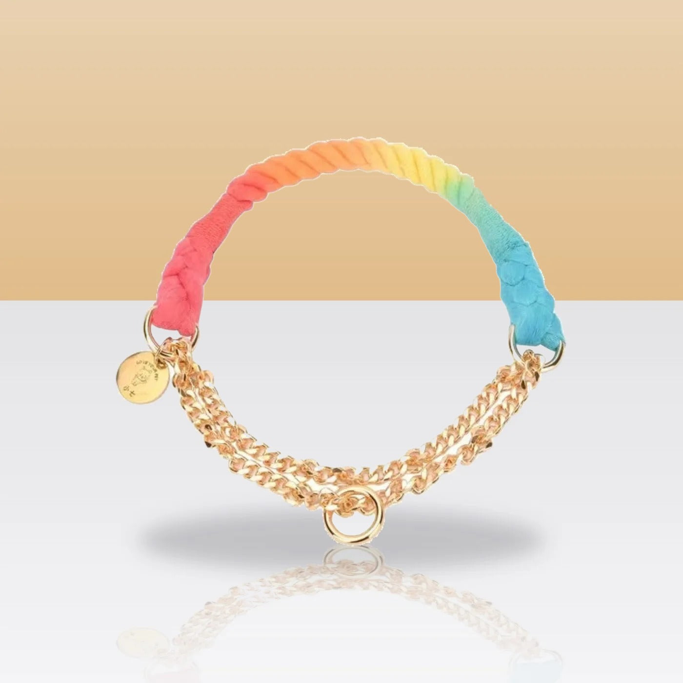 Collier en corde à chaîne arc-en-ciel pour chien