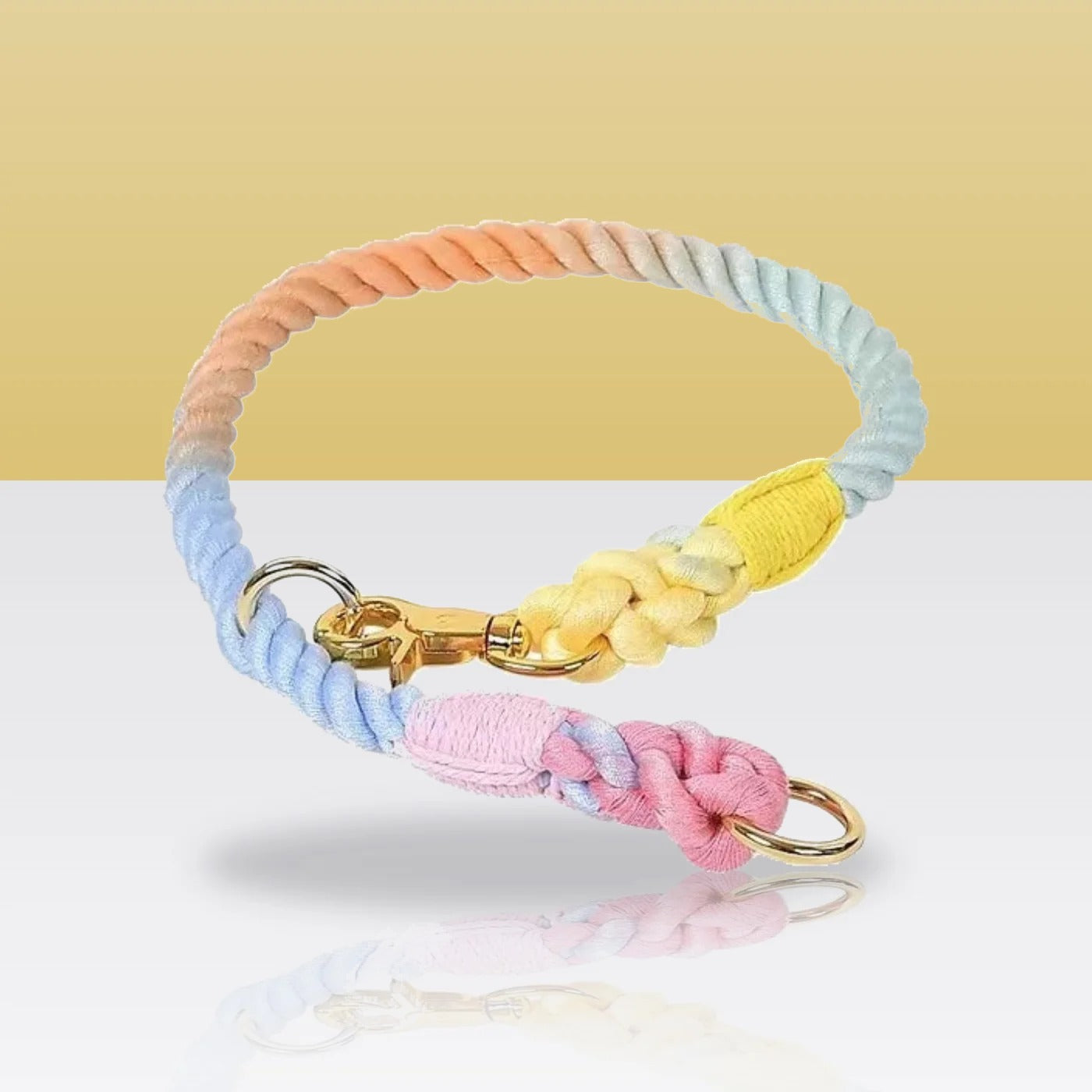 Collier en corde classique pour chien