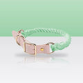Collier en corde et cuir jade clair pour chien