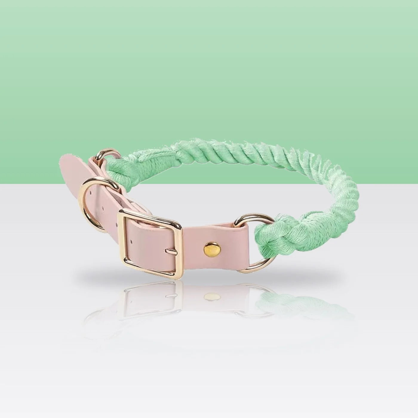Collier en corde et cuir jade clair pour chien