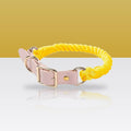 Collier en corde et cuir Soleil pour chien