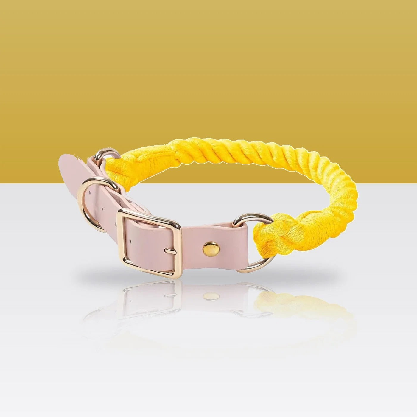 Collier en corde et cuir Soleil pour chien