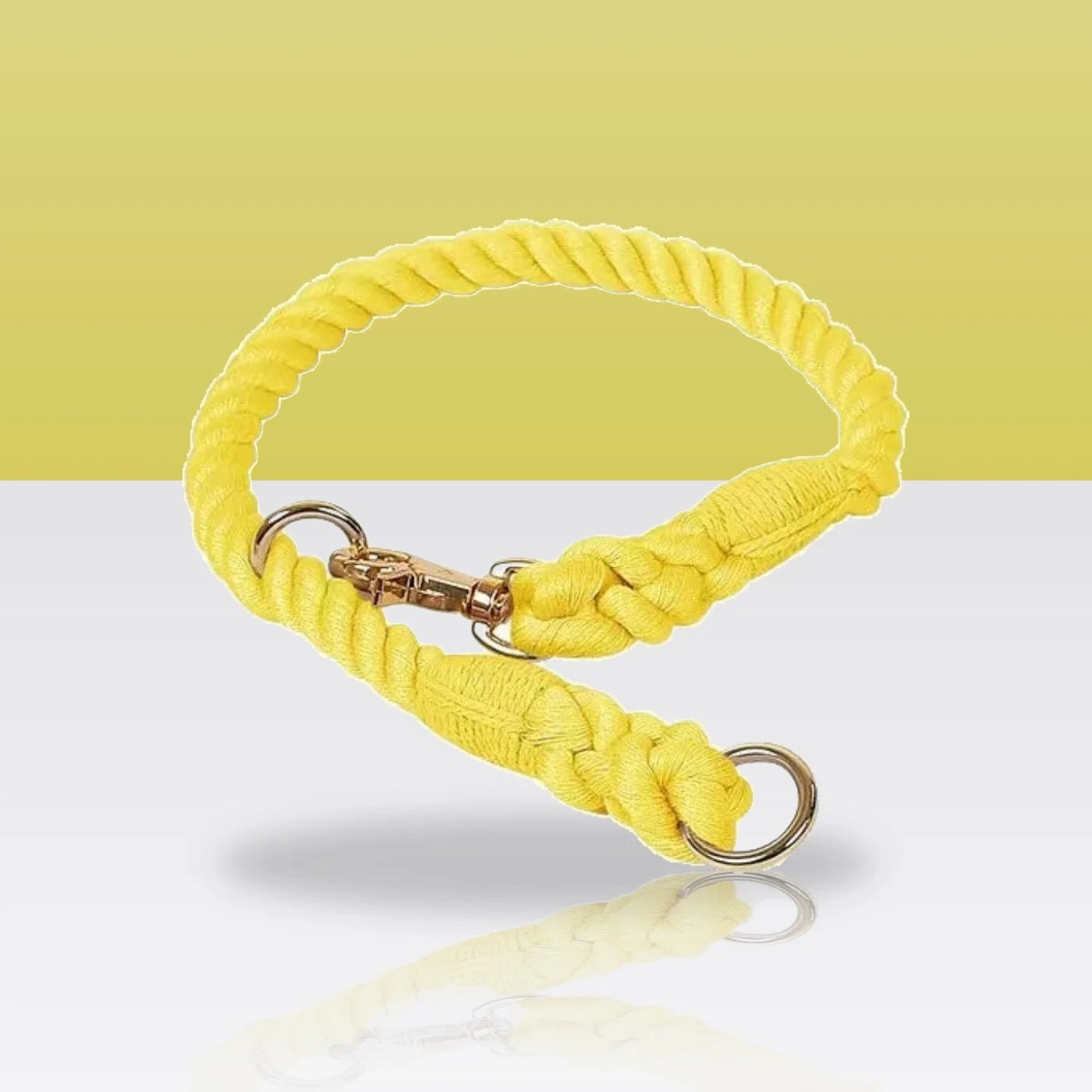 Collier en corde jaune citron pour chien