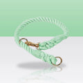Collier en corde vert jade pour chien