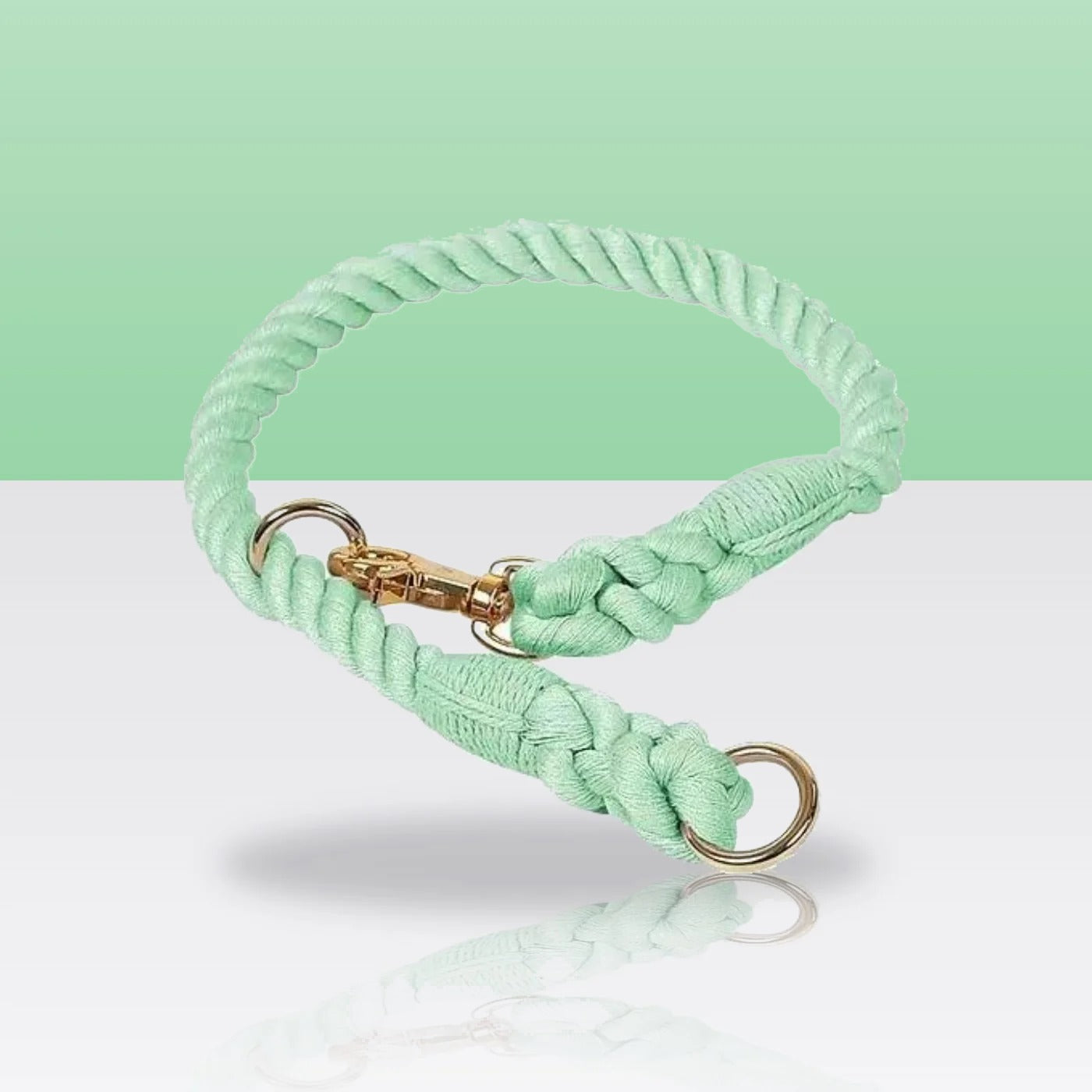 Collier en corde vert jade pour chien