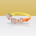 Collier en corde et cuir arc-en-ciel pour chien
