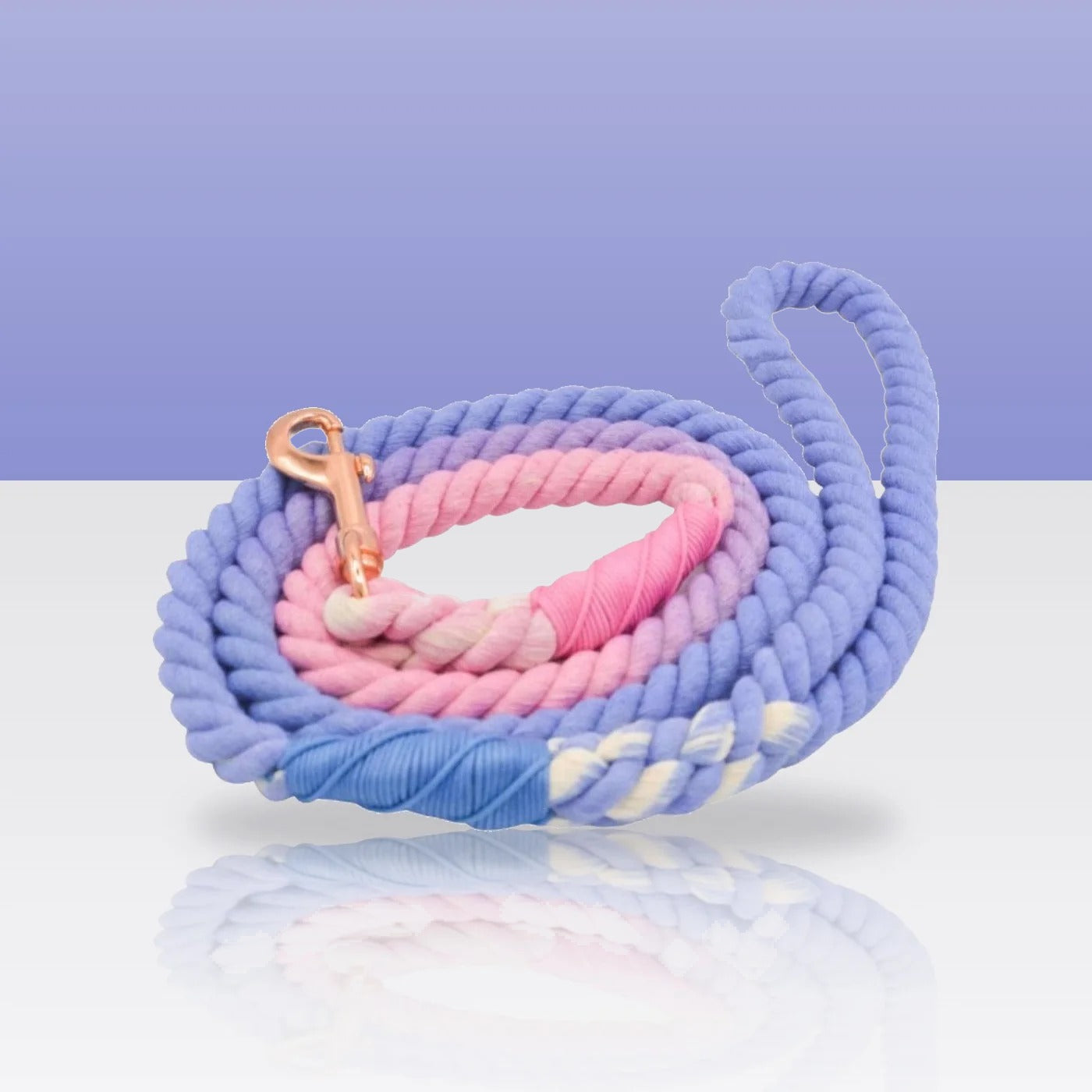 Laisse en corde myosotis pour chien