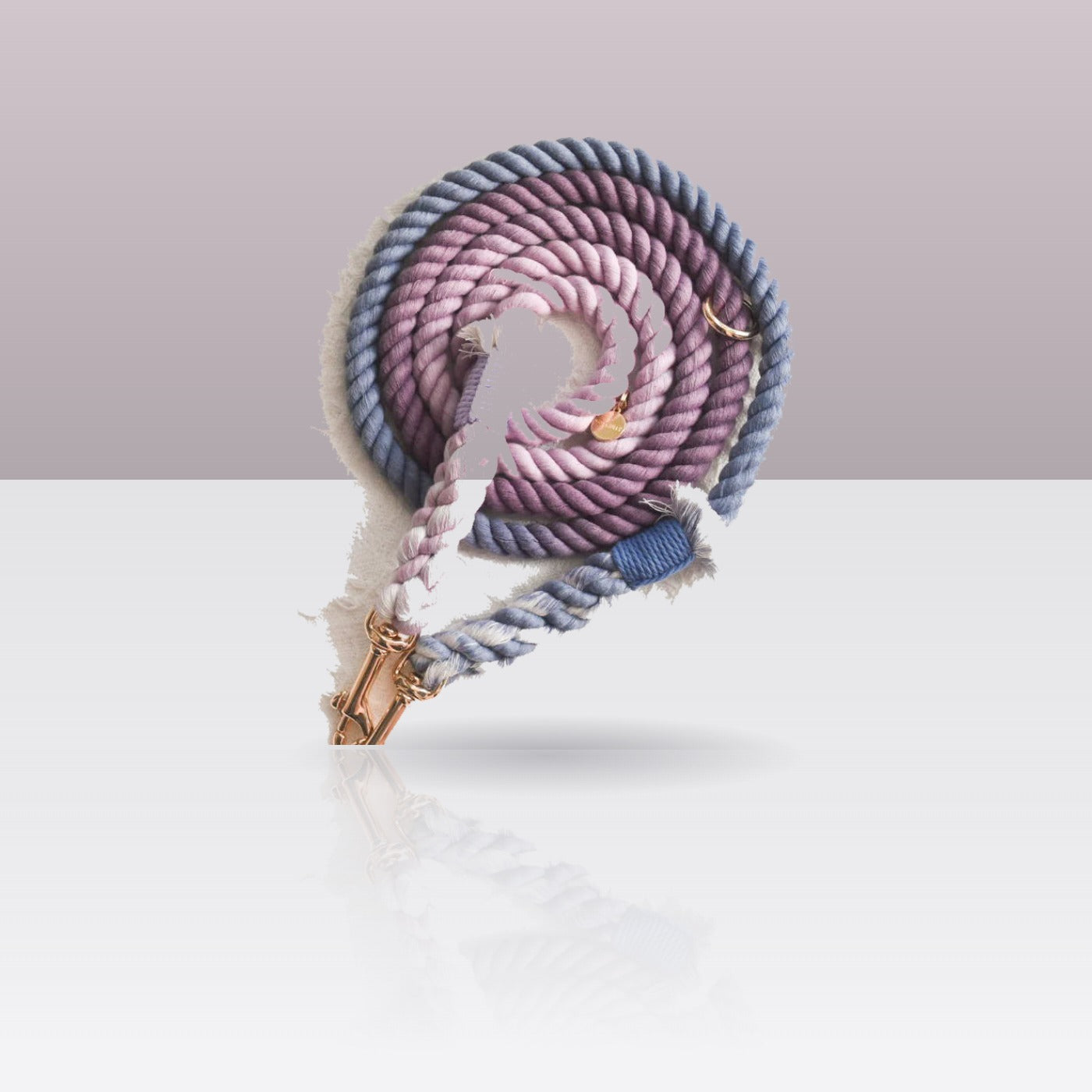 Laisse en corde Violette — corde de coton violette