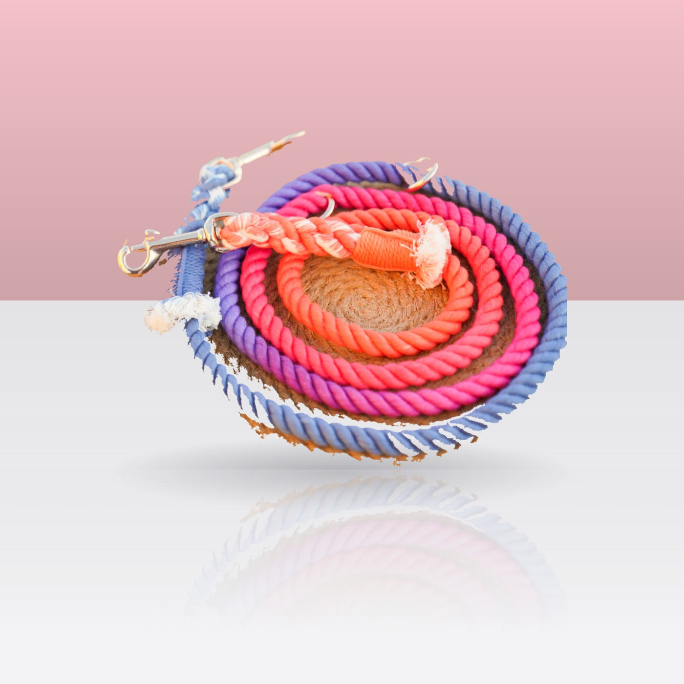 Laisse mains libres Palette — corde de coton multicolore